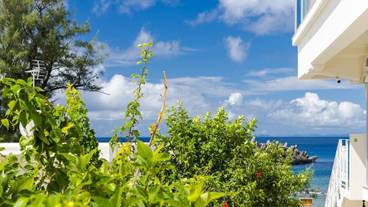 ビーチ / オーシャン ビュー / 30