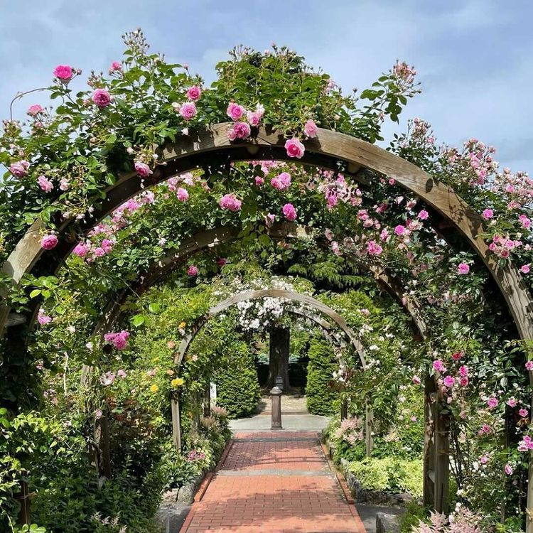 saho_bambi.0717さんの写真 / 2