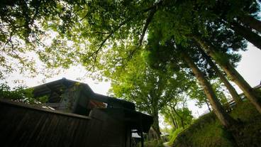 施設の敷地 / 21