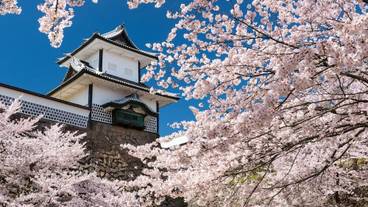 観光スポット / 13