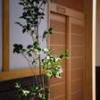 由布院温泉 旅館 古都の花心