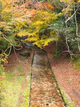登山も楽しめる「弥山」の紅葉745490