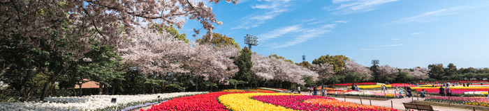 「なばなの里」周辺のおすすめホテル10選♪カップルも子連れも大満足／三重