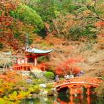 花見の発祥地？！豊臣秀吉が自らプロデュースした「醍醐寺」で桜と国宝に触れる旅
