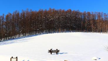 ランド ビュー / 10