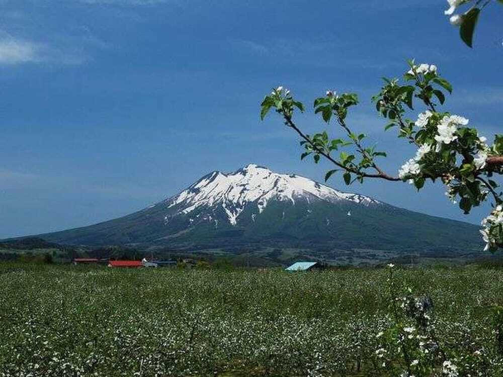 マウンテン ビュー