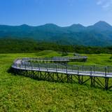 知床五湖の高架木道 / 2