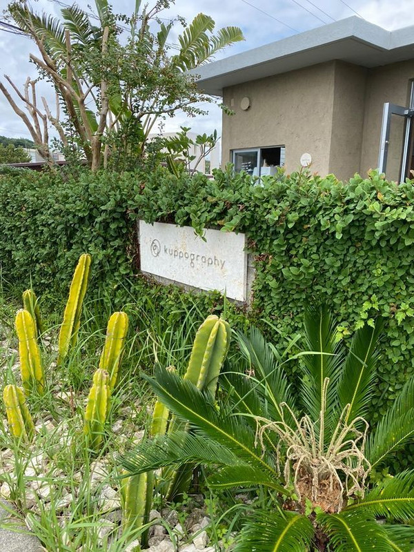 kumiko_s_sさんの写真 / 2