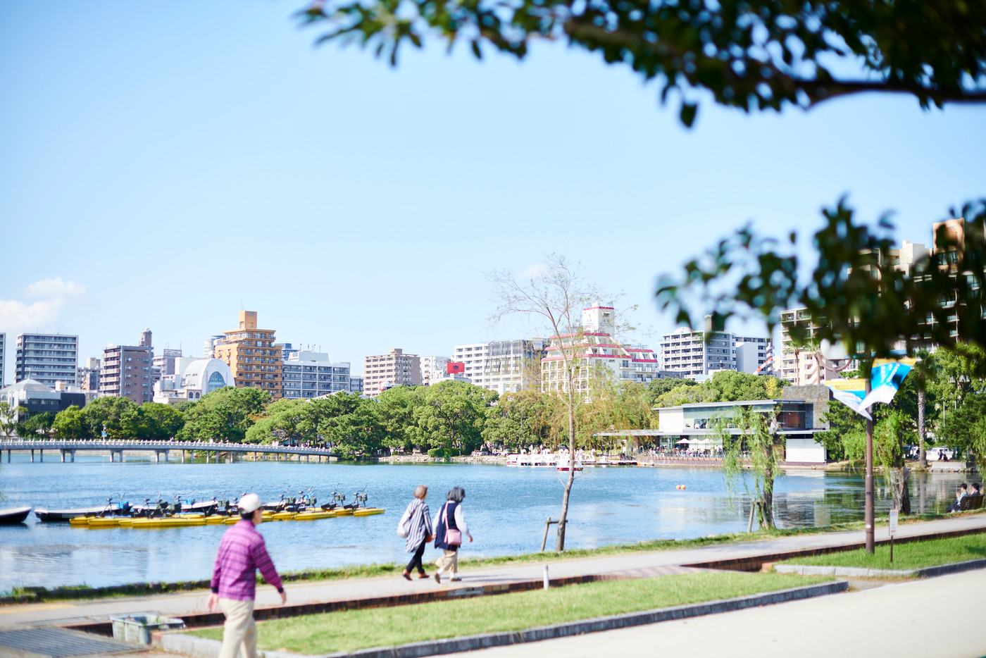 おだやかな水景に心が澄みわたる「大濠公園」1994259