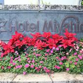 南の美ら花 ホテル ミヤヒラ（石垣島）（沖縄県 シティホテル） / 4