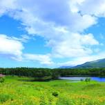 知床八景を巡る旅～太古の自然が残る地へ～観光スポット案内