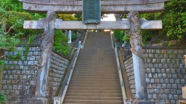 施設の敷地 / 24