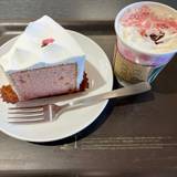 スターバックスコーヒー 蔦屋書店 和歌山市民図書館店(スターバックスコーヒー)