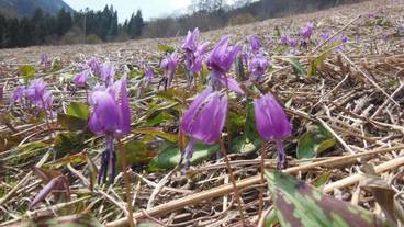 施設の敷地 / 12