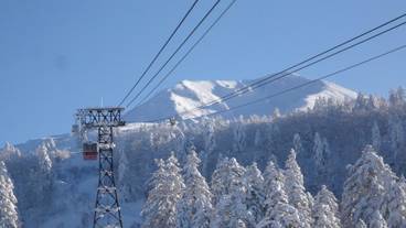 観光スポット / 13