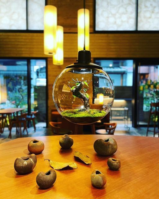 miwa5022さんの写真 / 1