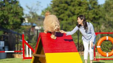 ペット同伴可 / 8