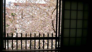 部屋からの景観 / 5