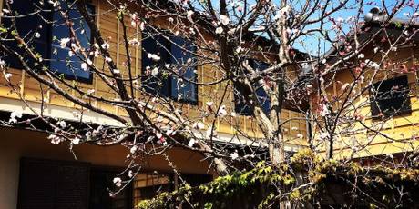 ゲストハウス 鎌倉ZEN-JI