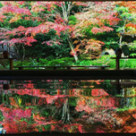【長崎県】秋に行きたいおすすめ観光スポット11選｜紅葉の絶景やお祭りも♪