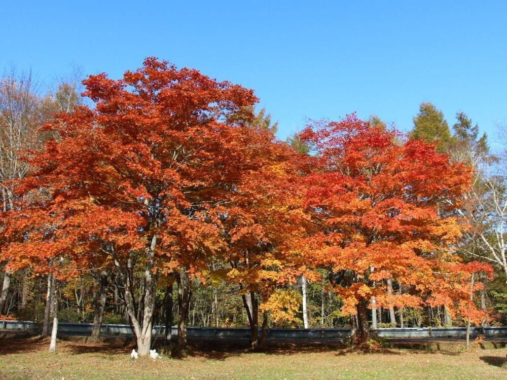 施設からの眺望