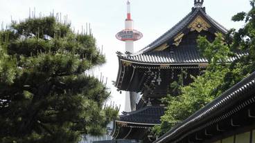 観光スポット / 9