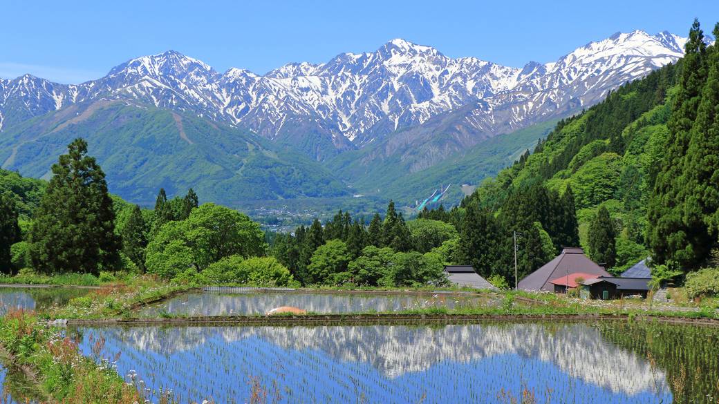 白馬イメージ / 1