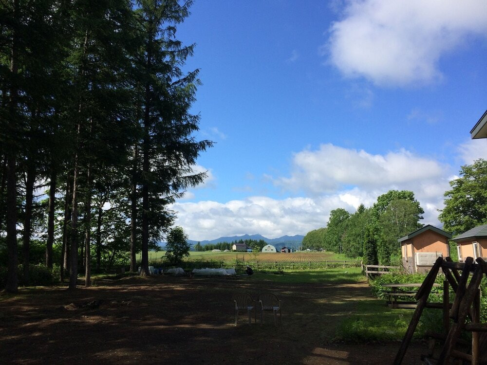 マウンテン ビュー