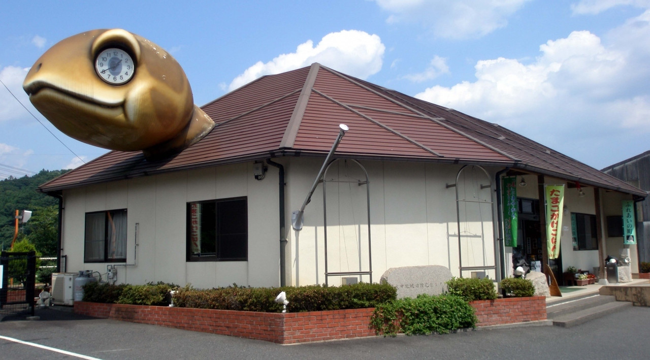えっ！？屋根から亀の顔が・・・1013147