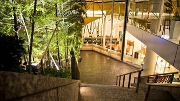 テラス / パティオ / 19