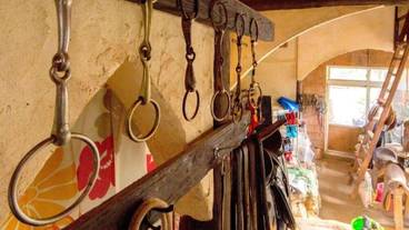 施設の敷地 / 13