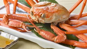 食事・飲み物 / 1