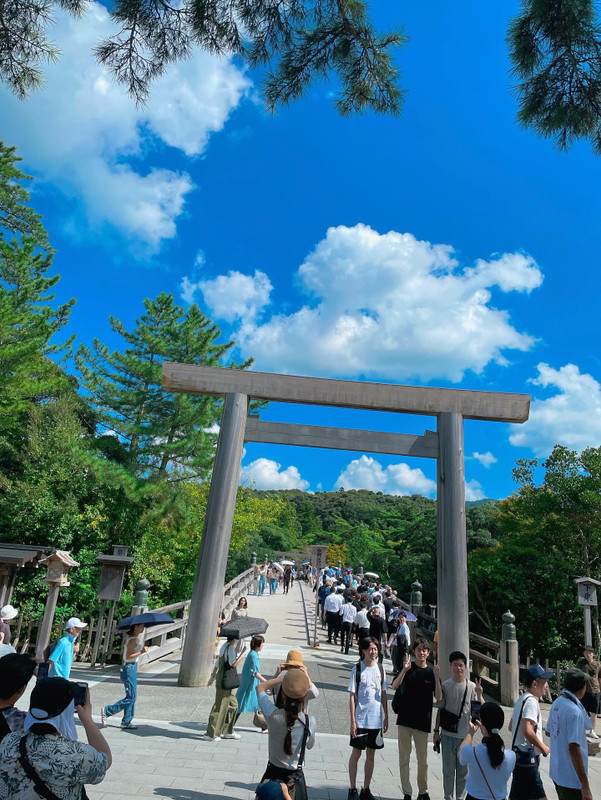 ray.natsさんの写真 / 6