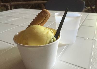 ガンガラーの谷 ケイブカフェ