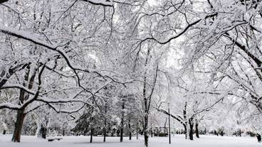 シティ ビュー / 19