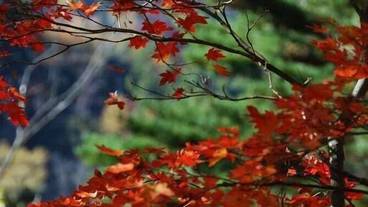 施設の敷地 / 18