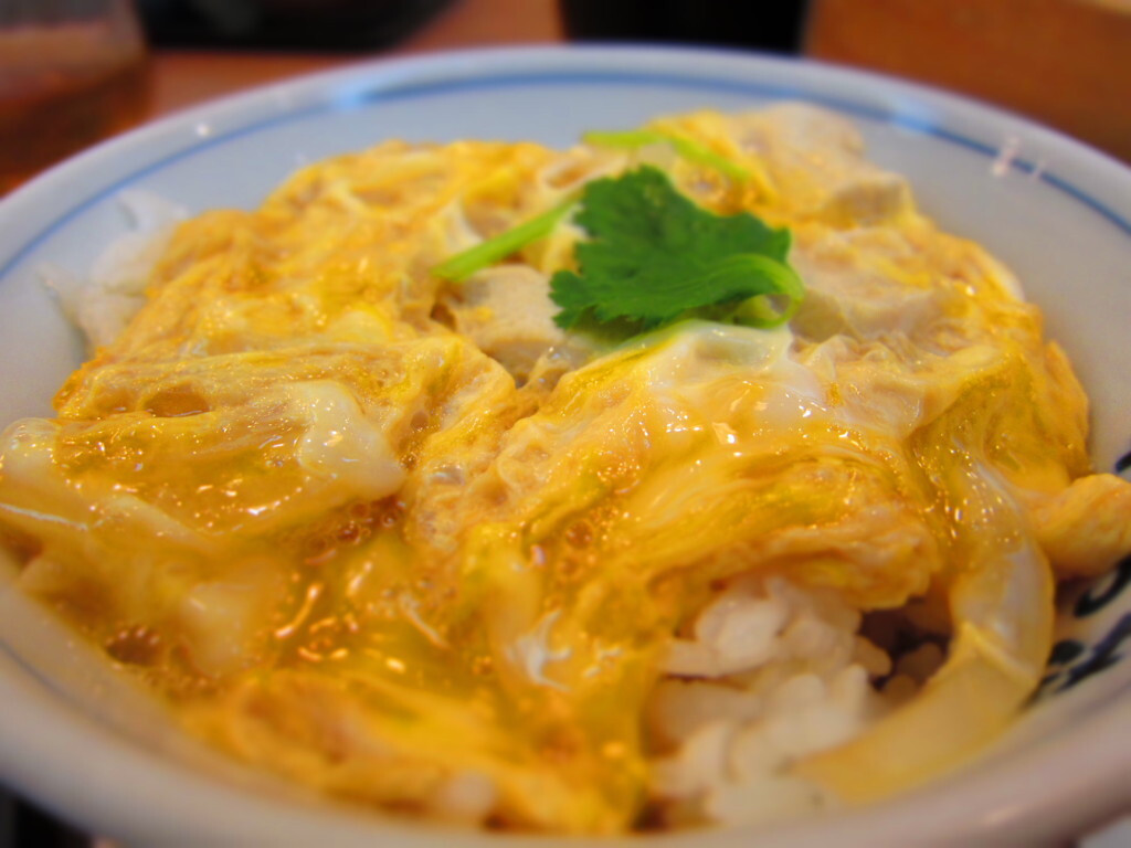 とろとろ卵とジューシーな鶏肉の傑作！親子丼♡1089153