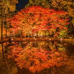 水面に映る紅葉が美しい！水辺の絶景紅葉スポット7選【全国】