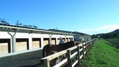 高室山温泉 パノラマホテル（旧：まきばの宿）