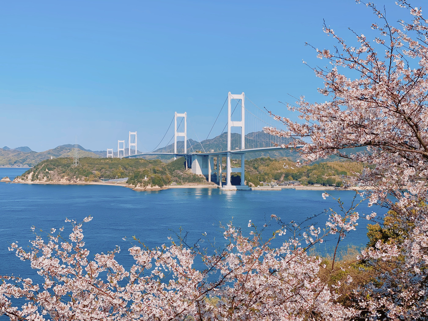 愛媛県今治市