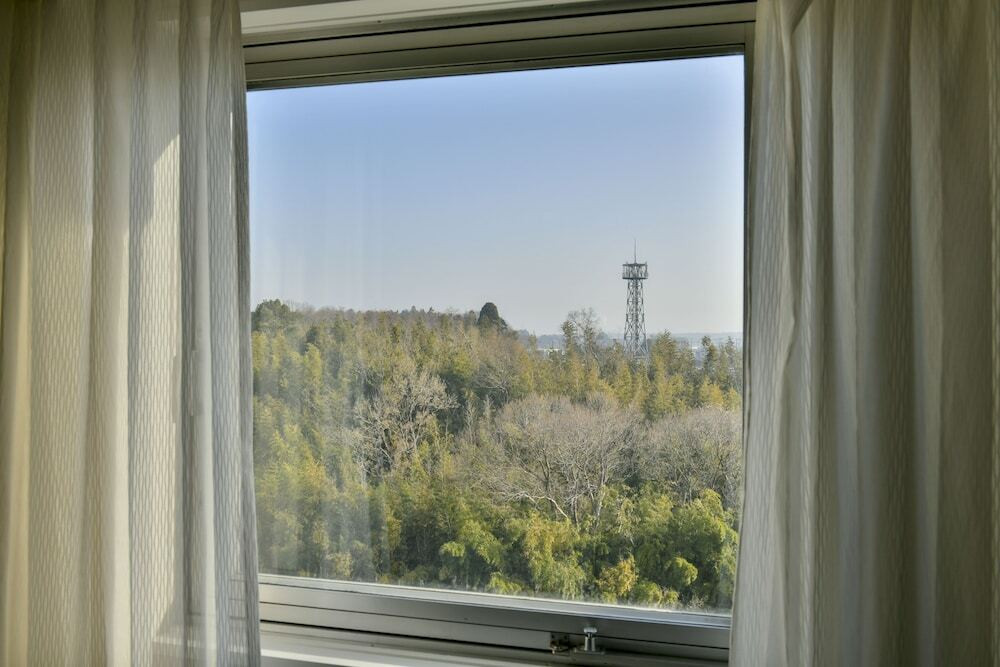 施設からの眺望