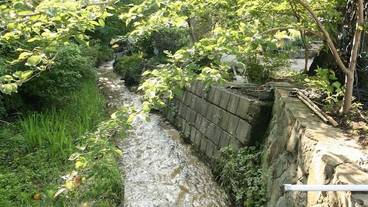 施設からの眺望 / 34