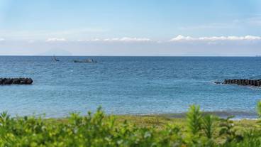 施設からの眺望 / 6