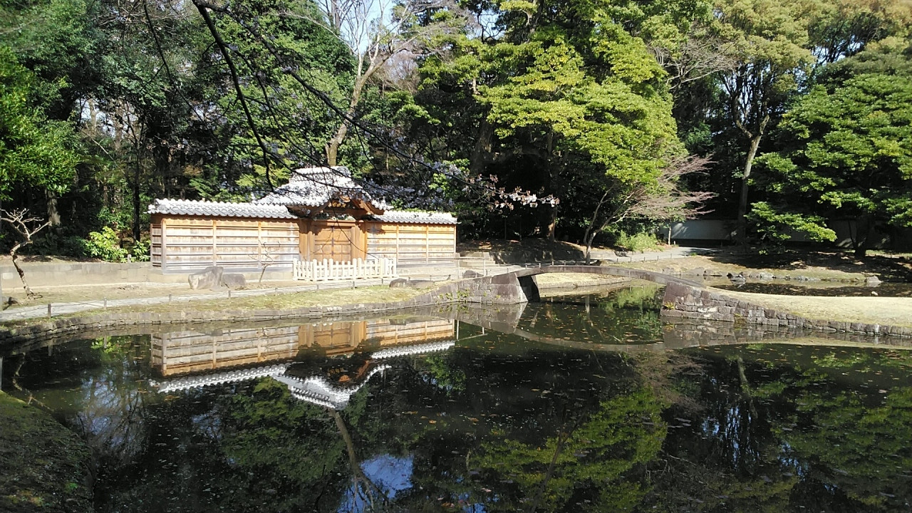 朝の小石川後楽園