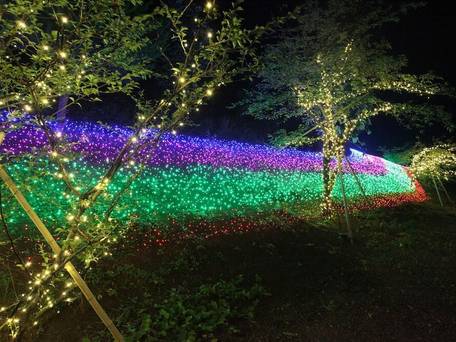 富士ざくらホテル / 5