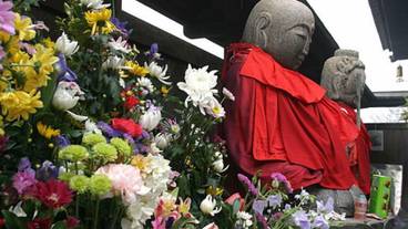 観光スポット / 8