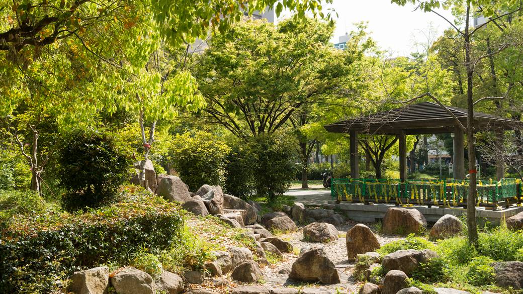 朝の風を感じながら
「靭公園」をお散歩 / 2