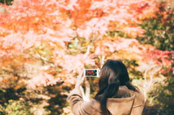 A woman taking pictures of autumn leaves with a smartphone