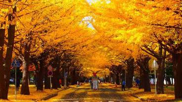 施設からの眺望 / 9