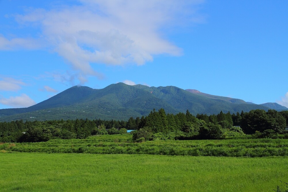 マウンテン ビュー